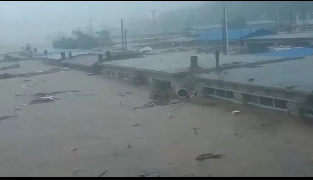 1727419765202944.png 1.png